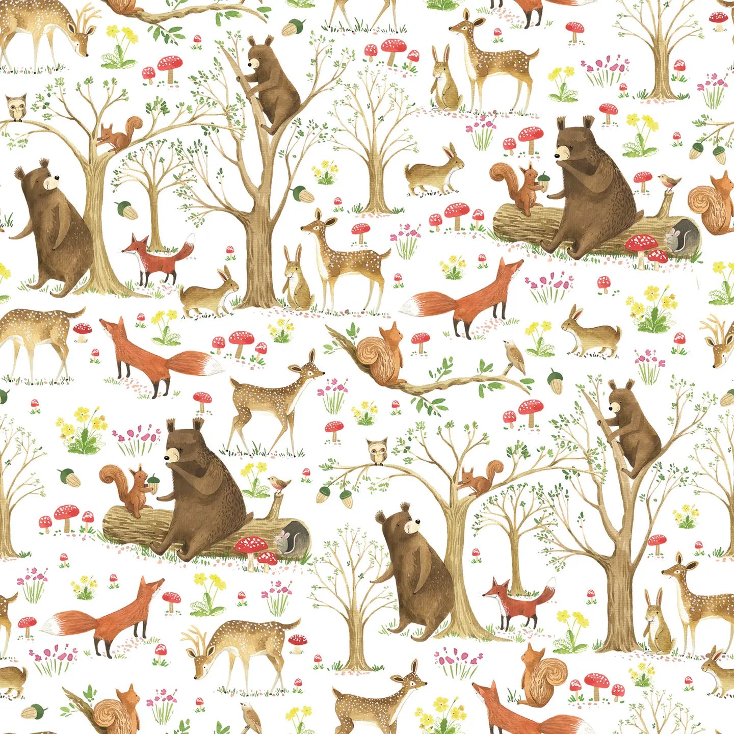 Jillson & Roberts Wrapping Paper