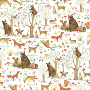 Jillson & Roberts Wrapping Paper