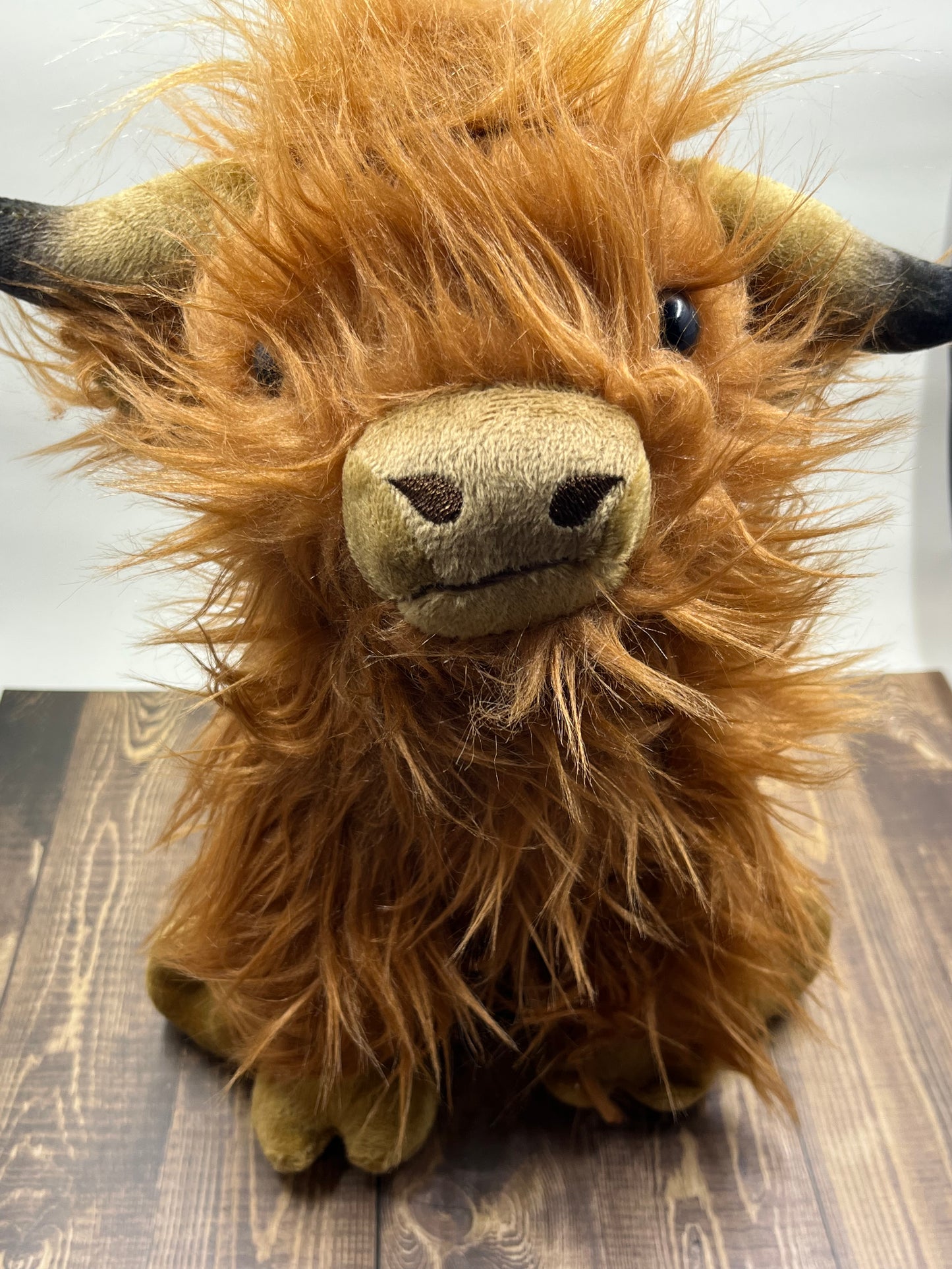 Shaggy Plush Highland Cow