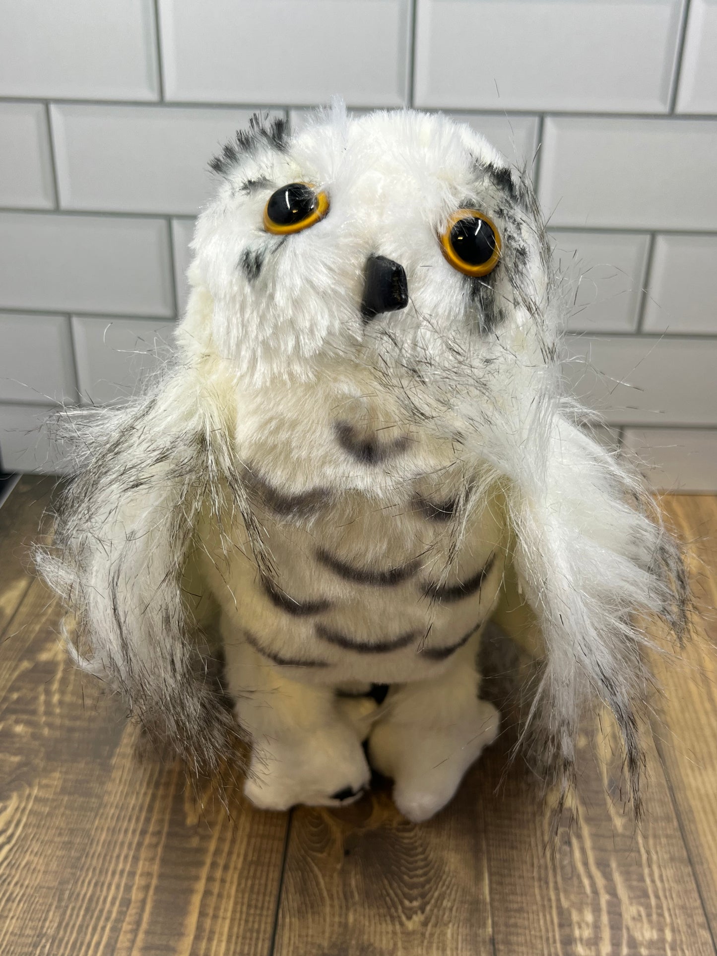 Owl Stuff Animal