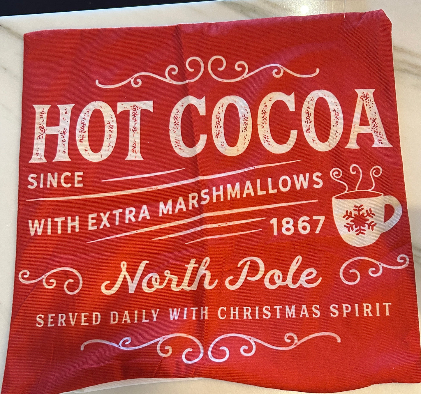 Hot Cocoa Pillow Case