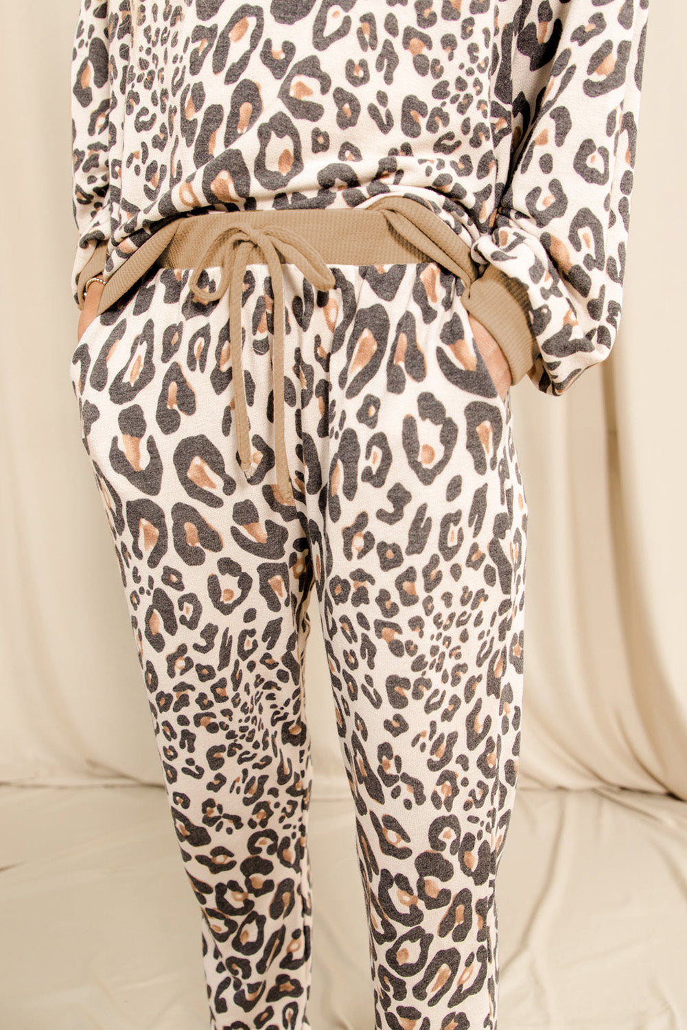 Leopard Print Long Sleeve Top and Drawstring Pants Loungewear