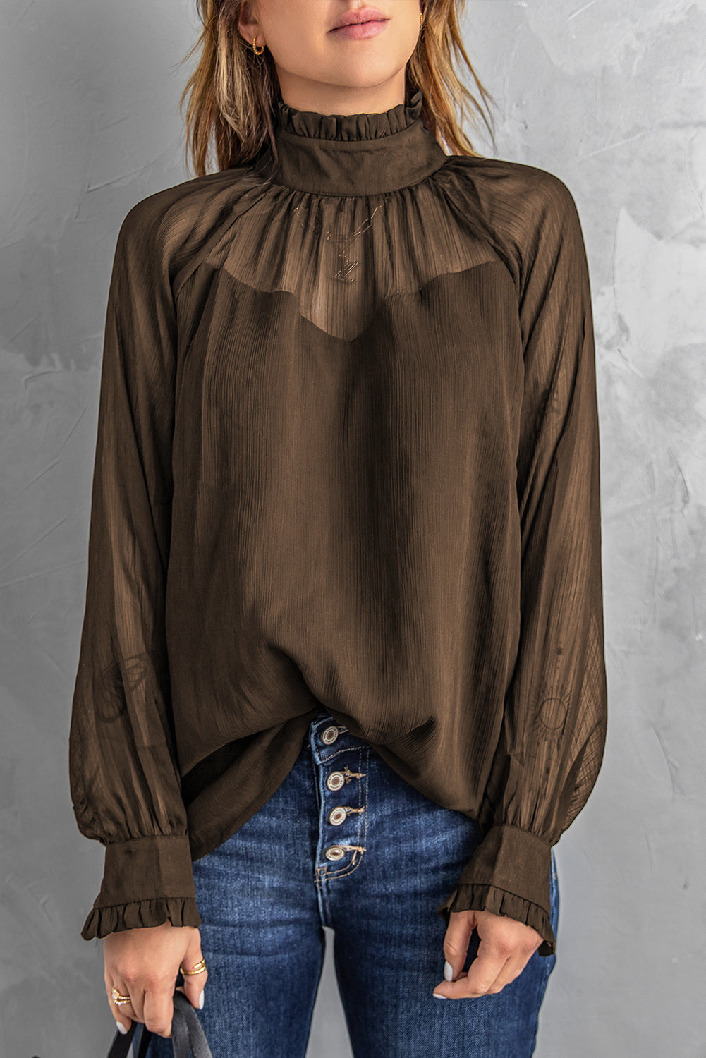 Brown Sheer Ruffled Puff Sleeves Blouse