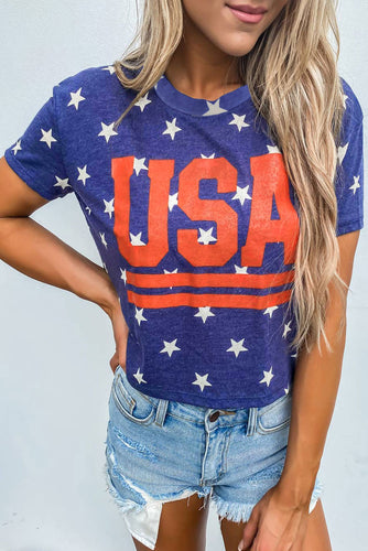 Vintage USA Stripes Cropped Graphic Tee